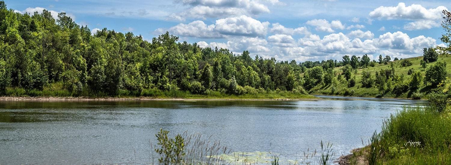 Land Acknowledgement Councillor Rowena Santos