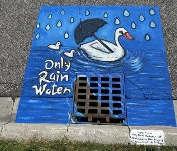 Hope Flynn (Coastline Dr) Only Rain Water