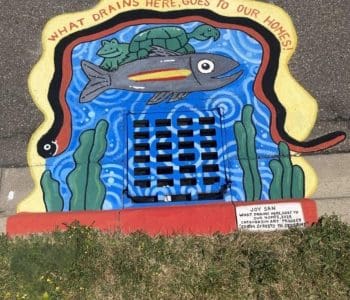 Joy Santiago (Parity Rd) What Drains Here Goes To Our Homes