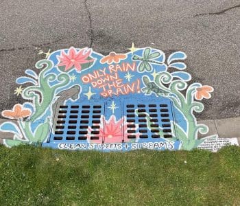 Sabbie Narwal (Maple Valley St) Streams Of Life