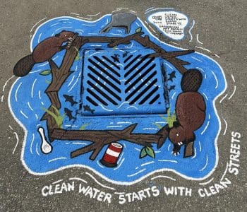 Sauga City (Andrew Mccandless Park) Clean Water Starts With Clean Streets