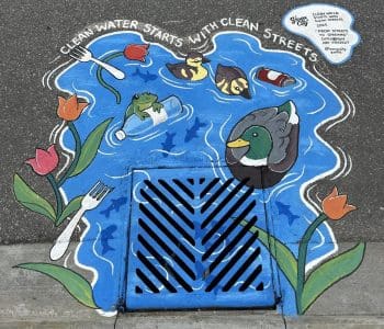 Sauga City (Jackman Dr) Clean Water Starts With Clean Streets